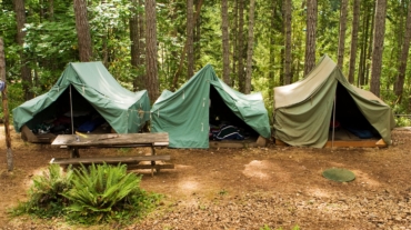 trzy namioty w lesie